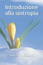 Introduzione alla sintropia