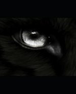 Wolf: Destruction: Book 5 of the WOLF Series.
