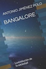 Bangalore: La evolución de la sociedad