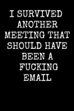 I Survived Another Meeting That Should Have Been A Fucking Email: An Irreverent Snarky Humorous Sarcastic Profanity Funny Office Co-worker Appreciatio