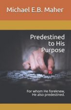 Predestined to His Purpose: For whom He foreknew, He also predestined.