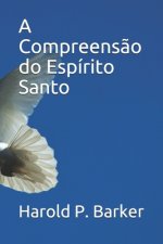 A Compreens?o do Espírito Santo
