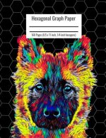Hexagonal Graph Paper: Organic Chemistry & Biochemistry Notebook, Vibrant Eurasier Dog Cover, 160 Pages (8.5 x 11 inch, 1/4 inch hexagons)