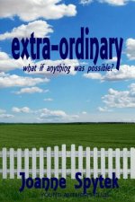 extra-ordinary: What if anything was possible?