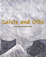 The Nighttime Adventures of Calvin and Ollie: an illustrate-it-yourself adventure