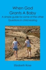 When God Grants A Baby: A simple guide for some of the other questions in child rearing
