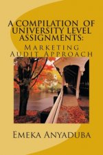 A Compilation of University Level Assignments: Marketing Audit Approach