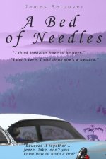 A Bed of Needles