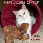 Here Comes Q-tip