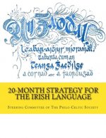 20-Month Strategy for the Irish Language