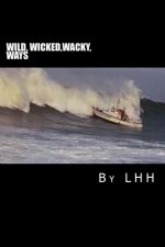 wild wicked wacky ways