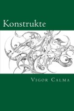 Konstrukte