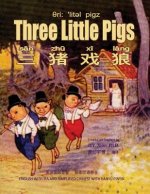 Three Little Pigs (Simplified Chinese): 10 Hanyu Pinyin with IPA Paperback B&w