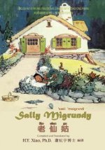 Sally Migrundy (Traditional Chinese): 08 Tongyong Pinyin with IPA Paperback B&w