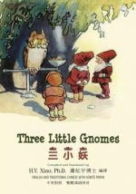 Three Little Gnomes (Traditional Chinese): 04 Hanyu Pinyin Paperback B&w