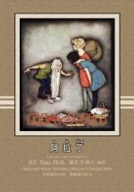Aladdin (Traditional Chinese): 08 Tongyong Pinyin with IPA Paperback B&w