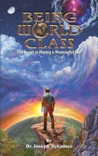 Being World Class: The Secret to Having a Meaningful Life