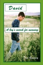 David: A teenboy's search for meaning