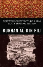 You Were Created to Be a Star Not a Burning Meteor: Poems