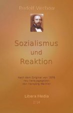 Sozialismus und Reaktion: Kommentierte Ausgabe