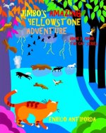 Jimbo's Amazing Yellowstone Adventure: Book 3, Jimbo the Cat Series