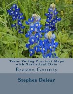 Texas Voting Precinct Maps with Statistical Data: Brazos County