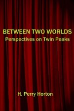 Between Two Worlds: Perspectives on Twin Peaks