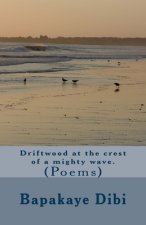 Driftwood at the crest of a mighty wave: (poems)