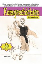 Kurzgeschichten für Erwachsene: Neue, anspruchsvolle, lustige, spannende, unheimliche, unterhaltsame und entspannende Kurzgeschichten