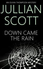 Down Came the Rain