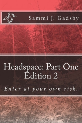Headspace: Part One: Enter at you own risk.