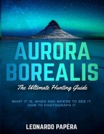 Aurora Borealis: The Ultimate Hunting Guide