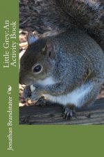 Little Grey: An Activity Book