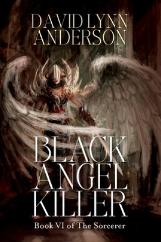 Black Angel Killer: Book VI of The Sorcerer