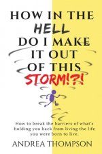How in the Hell do I make it out of this STORM!?!: How to take immediate control over any hardship & come out victorious