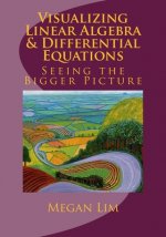Visualizing Linear Algebra and Differential Equations: The Guide to Seeing the Bigger Picture