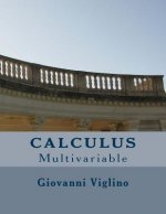 Calculus: multivariable