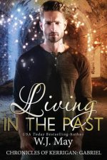 Living in the Past: paranormal fantasy romance