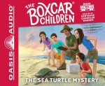 The Sea Turtle Mystery