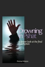 Drowning In Pshat: A Deeper Look At The Final Redemption