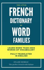 The little French dictionary of word families: Learn more than 2500 French words