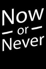 Now Or Never: Notepads Office 110 pages (6 x 9)