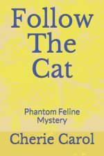 Follow The Cat: Phantom Feline Mystery