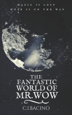 The Fantastic World of Mr. Wow