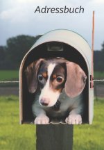 Adressbuch: Veranstalter zum Aufbewahren von Kontakten, Telefonnummern, E-Mails, Geburtstagen, Jahrestagen und Adressen sowie wich