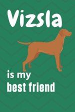 Vizsla is my best friend: For Vizsla Dog Fans