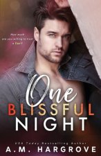 One Blissful Night: A Stand Alone, Second Chance, Enemies To Lovers Romance