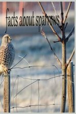 facts about sparrows: the birds