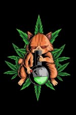 120 Pages DINA5: Cannabis Graphic Jorunal Book For Marijuana Smoker 120 Pages DINA5