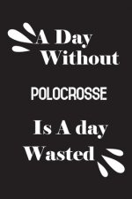 A day without polocrosse is a day wasted